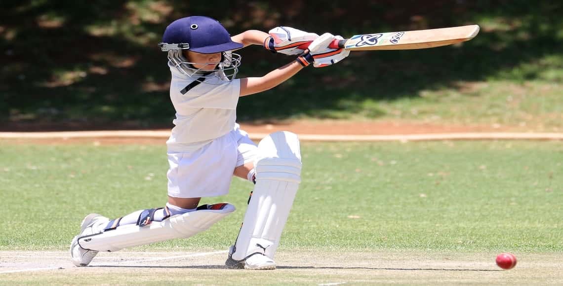 cricket bat in india